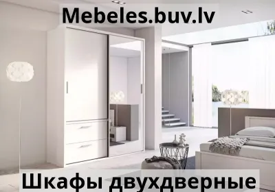 шкаф-купе с зеркалом arti ar-22p - Шкаф купе 3d 2d