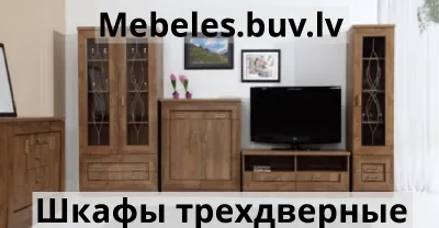 шкаф tds15-jsl - Шкаф купе 3d 2d