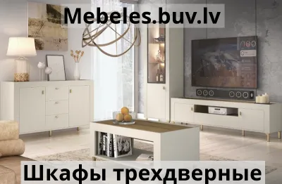 шкаф 3-дверный с зеркалом mossa 02 - Шкаф купе с зеркалом 110см